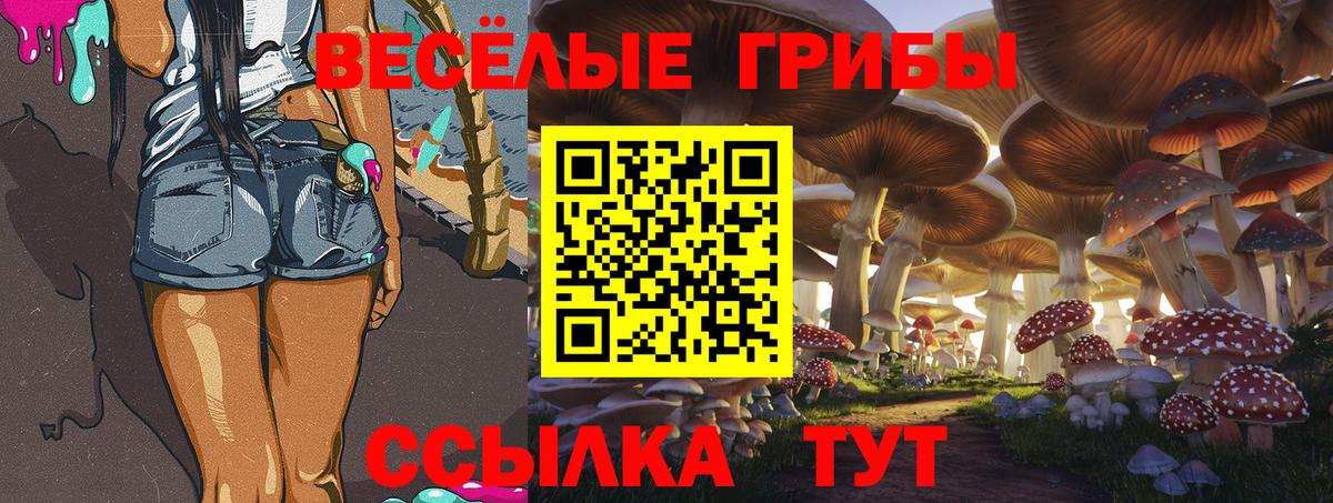 Малоярославец  Галлюциногенные грибы Psilocybe  Галлюциногенные грибы мухоморы  Вход с VPN 